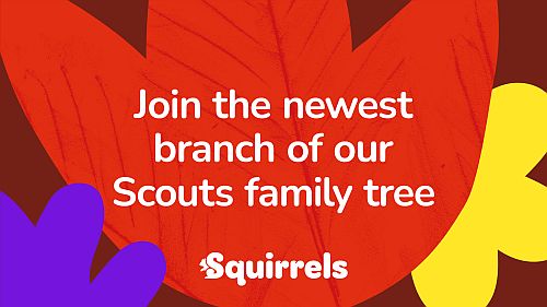squirrels side bar
